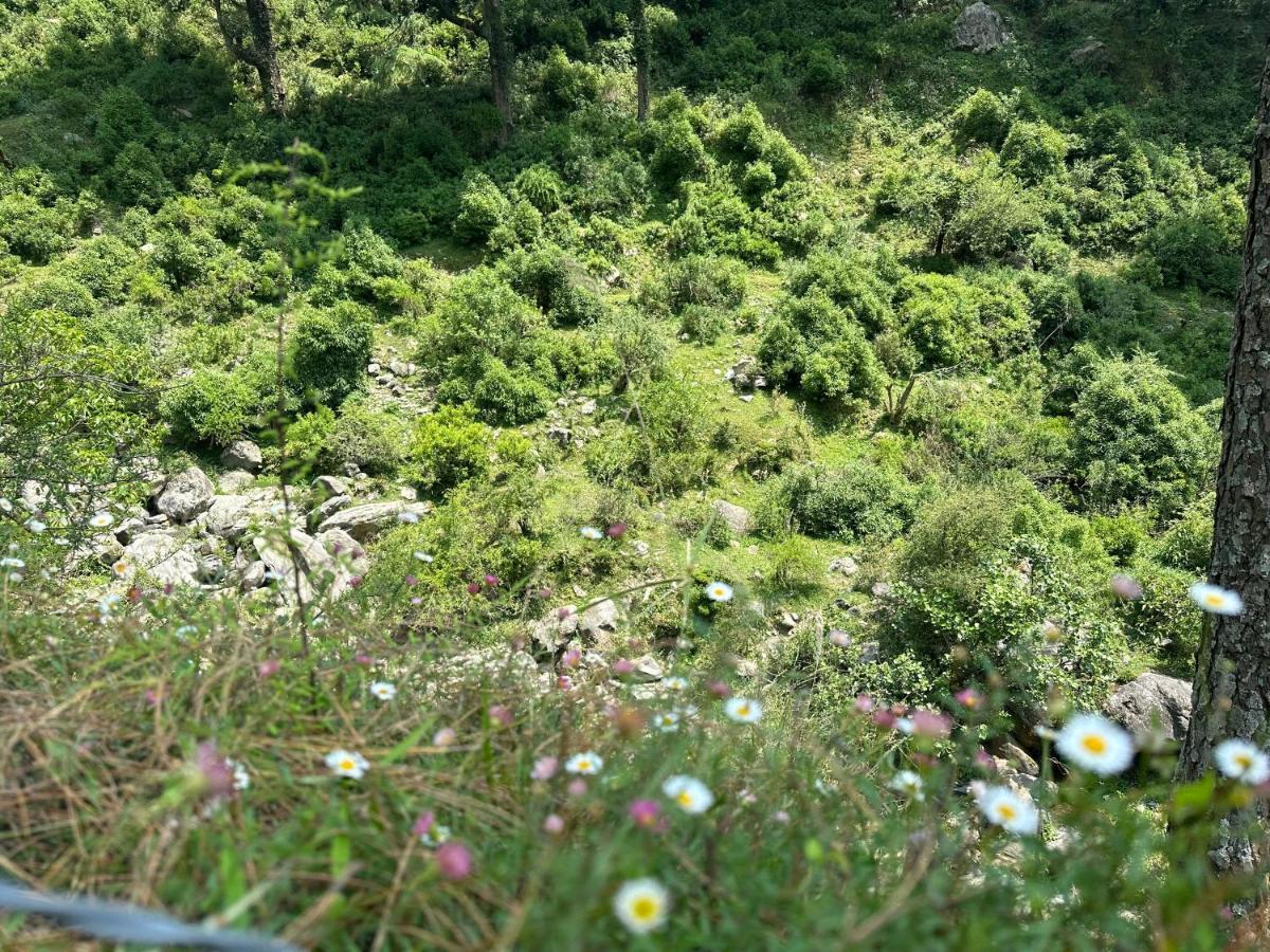 Deodar Village Homestay Devalsari Mussoorie Exterior foto